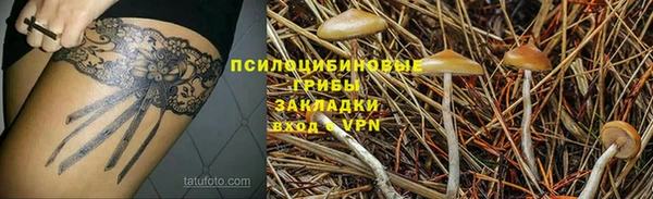 ECSTASY Навашино