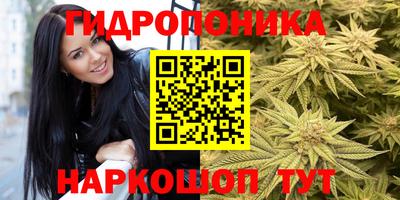 гашик Гусиноозёрск