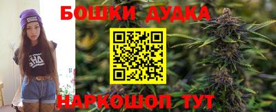 гашик Гусь-Хрустальный