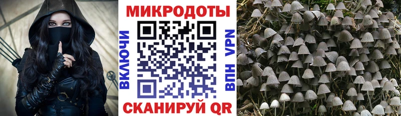 Галлюциногенные грибы Psilocybe Комсомольск-на-Амуре