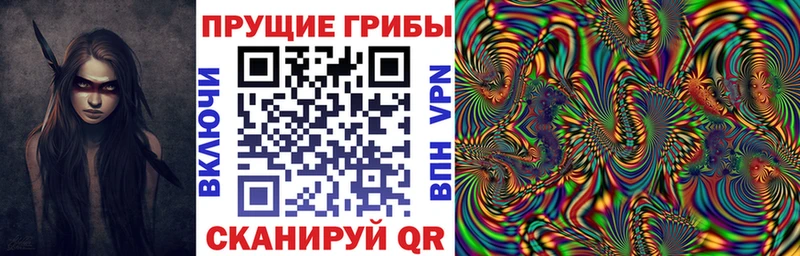 Галлюциногенные грибы мицелий  Комсомольск-на-Амуре 