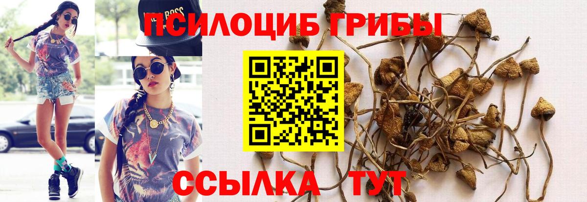 Псилоцибиновые грибы MAGIC MUSHROOMS Комсомольск-на-Амуре