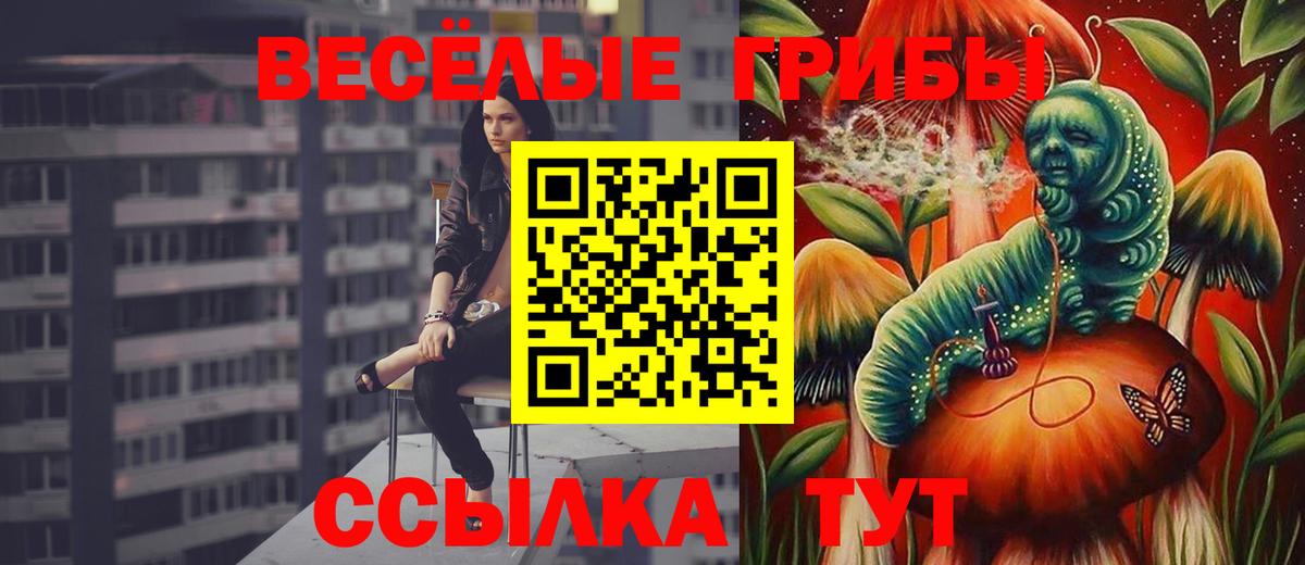 Галлюциногенные грибы Psilocybe  магазин продажи   Галлюциногенные грибы прущие грибы  Комсомольск-на-Амуре 