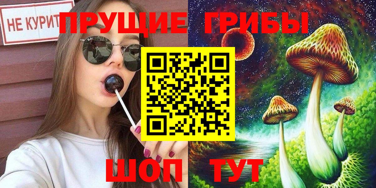 Комсомольск-на-Амуре  купить  сайты  Вход с VPN  Галлюциногенные грибы Psilocybine cubensis 